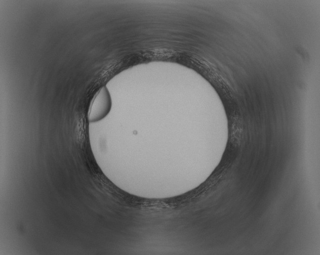 X0000116300866200912291430