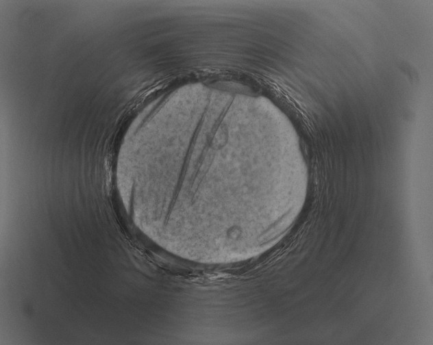 X0000116300868200912291430