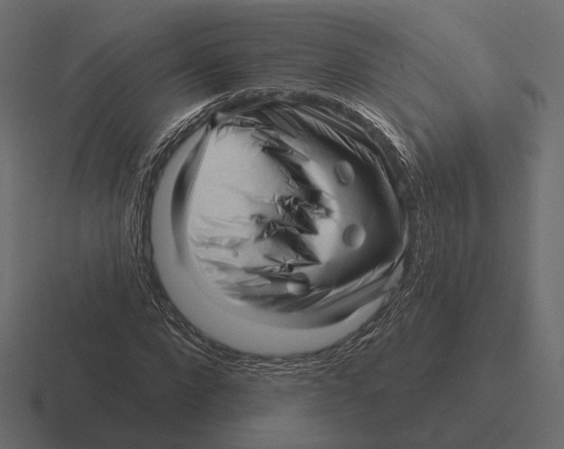 X0000116300872200912291430