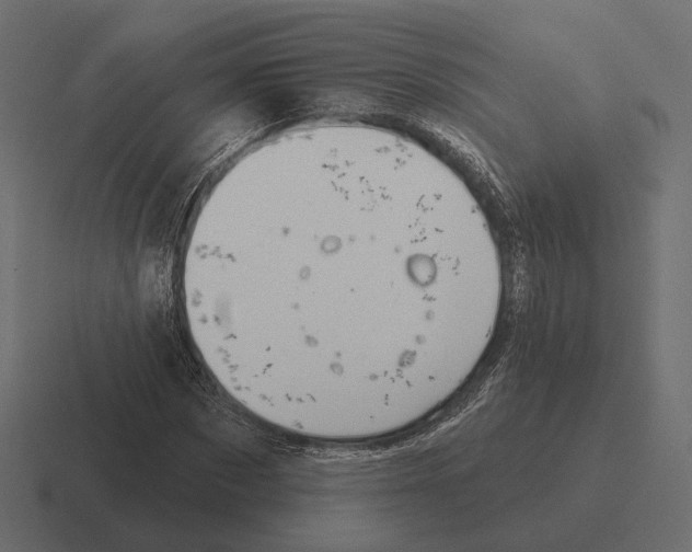 X0000116300873200912291430