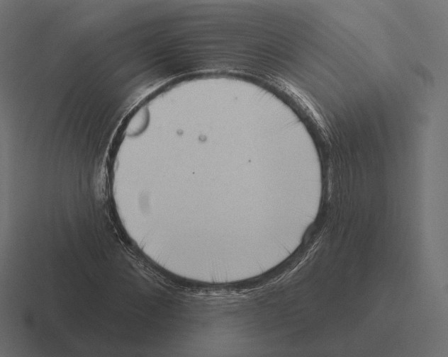 X0000116300876200912291430