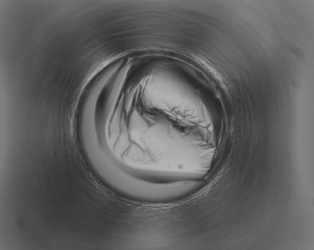 X0000116300877200912291430