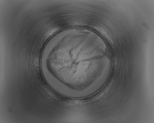 X0000116300881200912291429