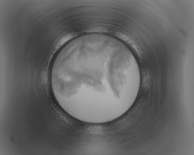 X0000116300882200912291429