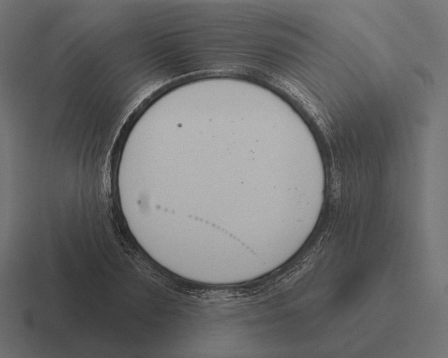 X0000116300883200912291429