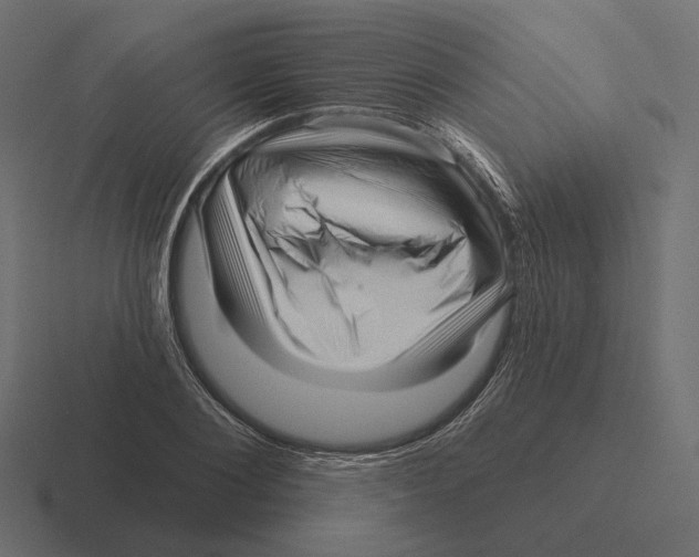 X0000116300884200912291429