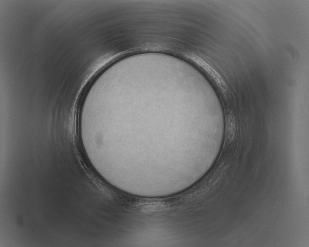 X0000116300886200912291429