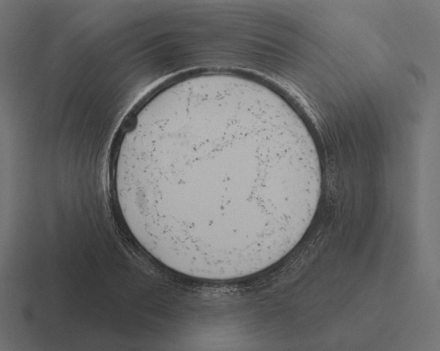 X0000116300887200912291429