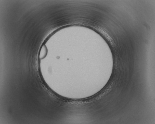 X0000116300888200912291429