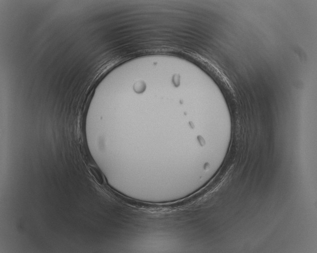 X0000116300889200912291429