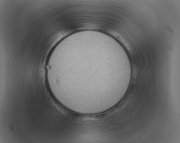 X0000116300890200912291429