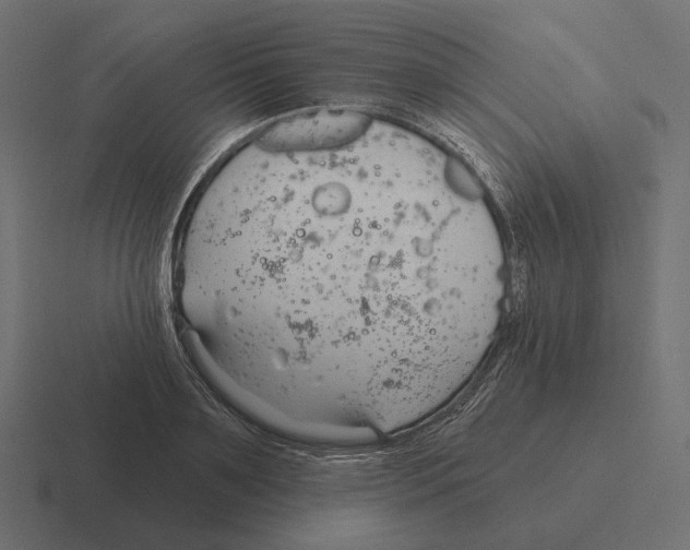 X0000116300891200912291429