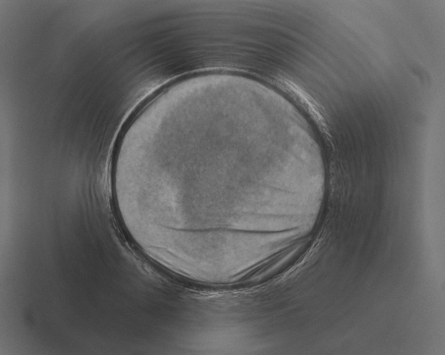 X0000116300892200912291429