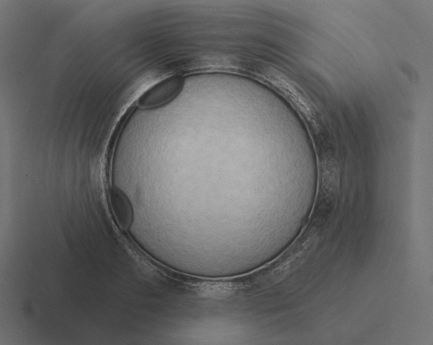 X0000116300893200912291429