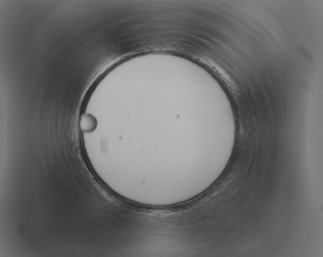 X0000116300894200912291429