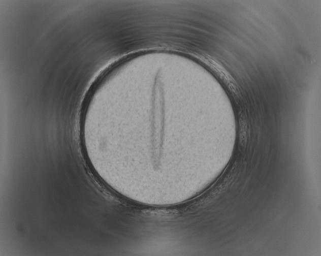 X0000116300896200912291429