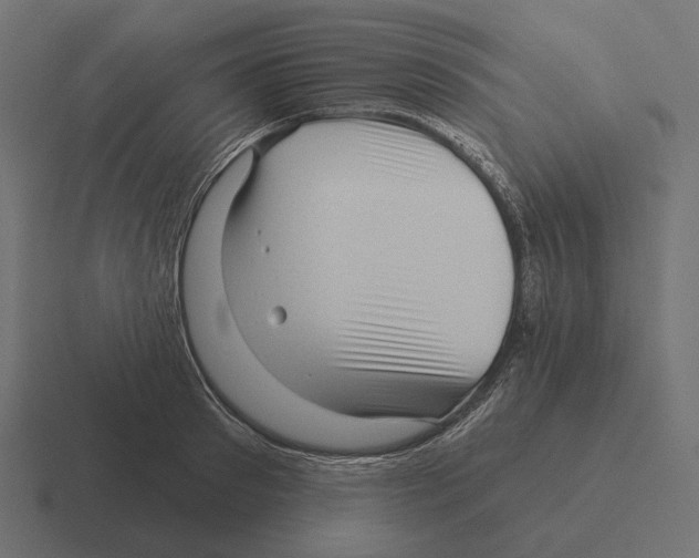 X0000116300897200912291429