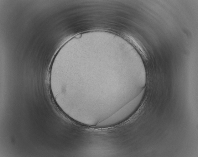 X0000116300900200912291429