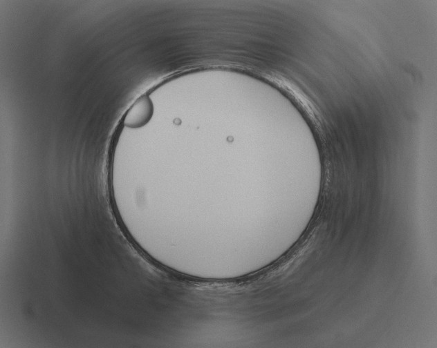 X0000116300902200912291429