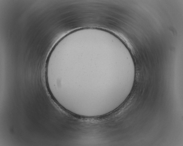 X0000116300903200912291429