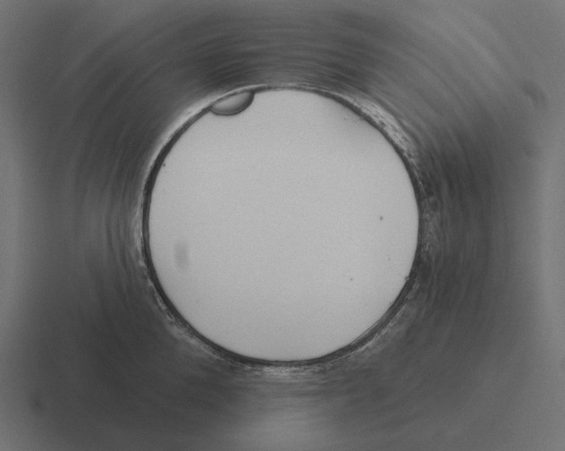 X0000116300904200912291429