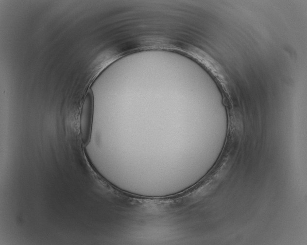 X0000116300905200912291429