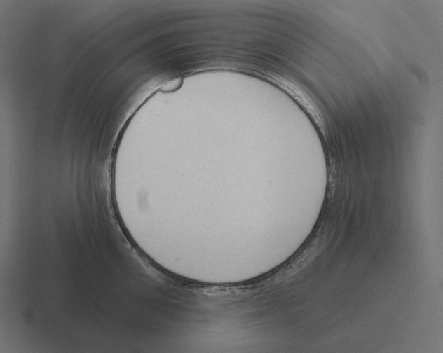 X0000116300906200912291429