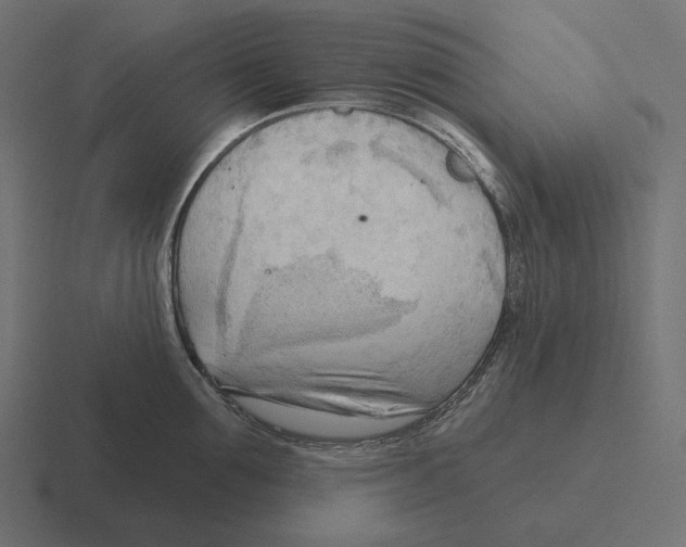 X0000116300907200912291429