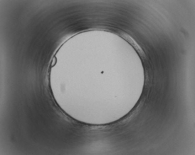 X0000116300908200912291429