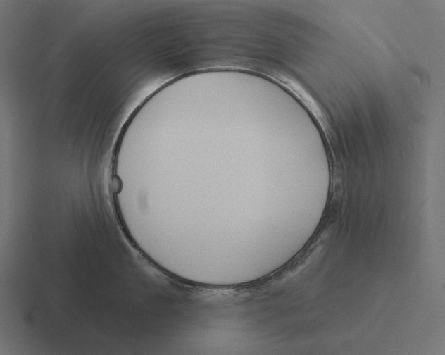 X0000116300909200912291429