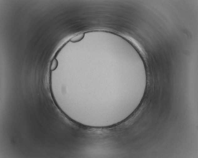 X0000116300910200912291429