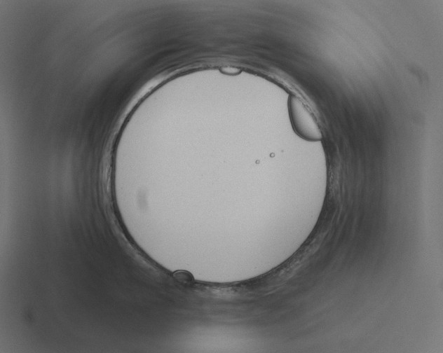 X0000116300911200912291429