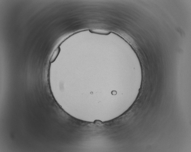 X0000116300912200912291429