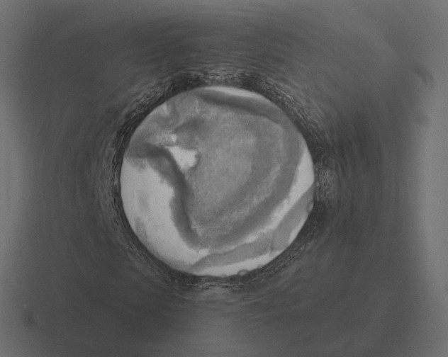 X0000116300913200912291428