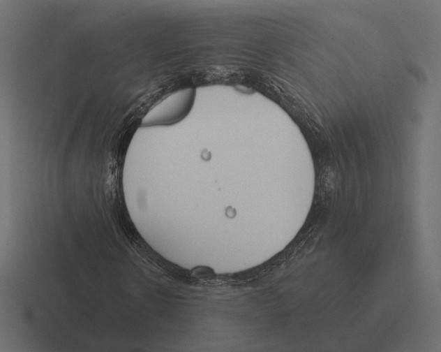 X0000116300914200912291429