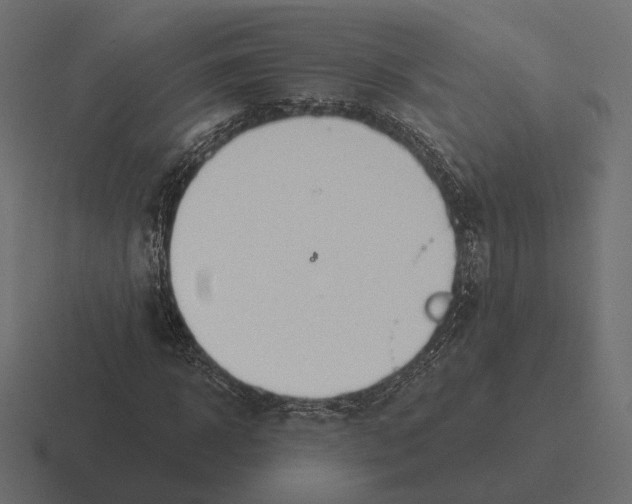 X0000116300918200912291429