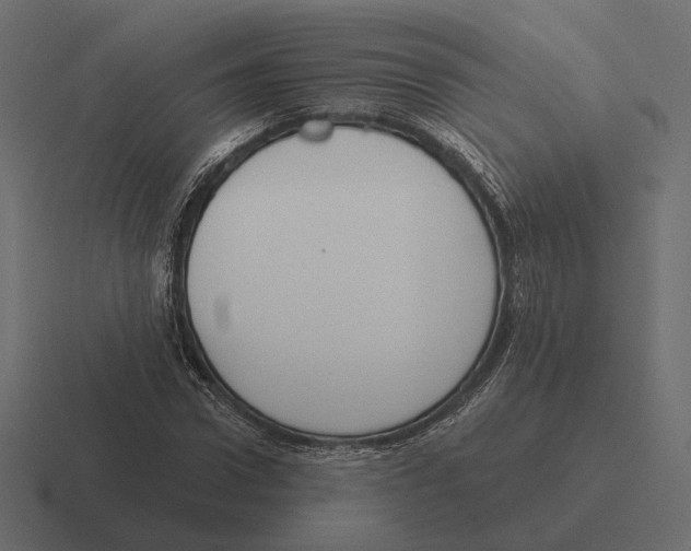 X0000116300922200912291429