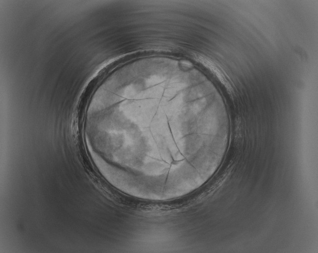 X0000116300923200912291429