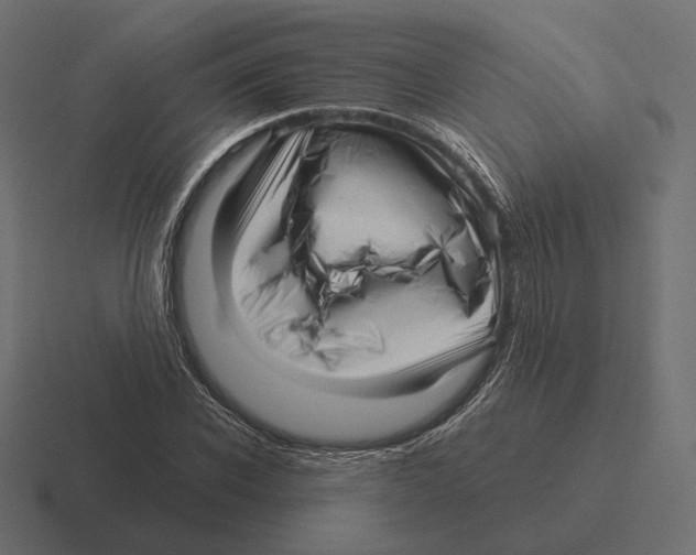 X0000116300926200912291429