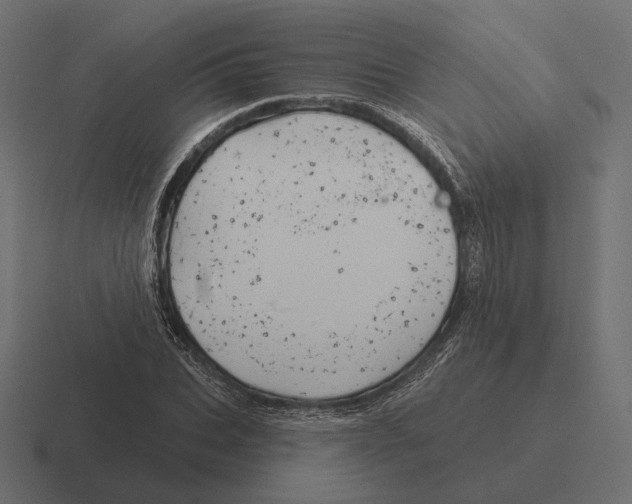 X0000116300927200912291429