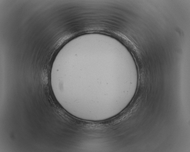 X0000116300929200912291429