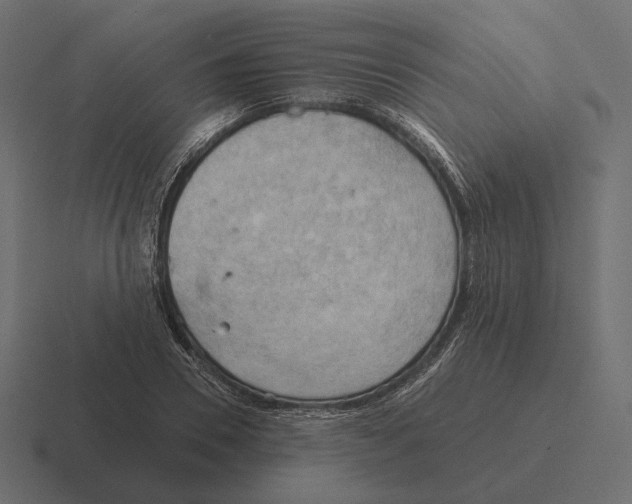 X0000116300930200912291429