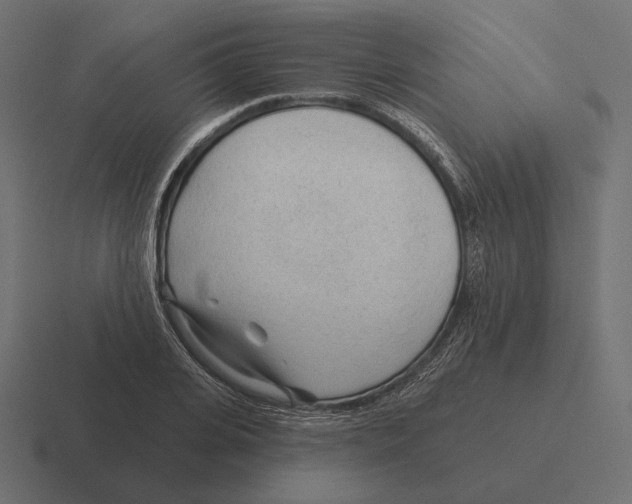 X0000116300935200912291429