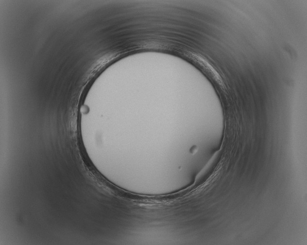 X0000116300938200912291429