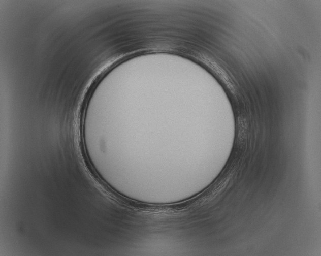 X0000116300939200912291429