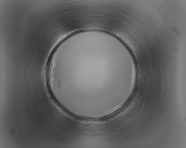 X0000116300941200912291429