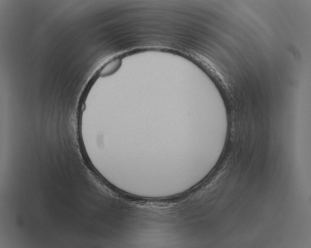 X0000116300942200912291429