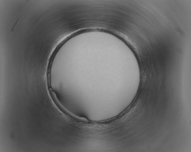 X0000116300943200912291429