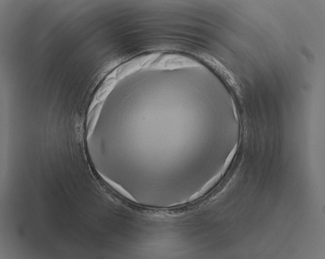 X0000116300945200912291429