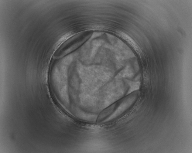 X0000116300946200912291429